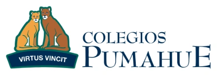 Colegios Pumahue