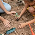 ¿Tu ABP realmente funciona? 3 claves prácticas para medir el impacto de tus proyectos escolares