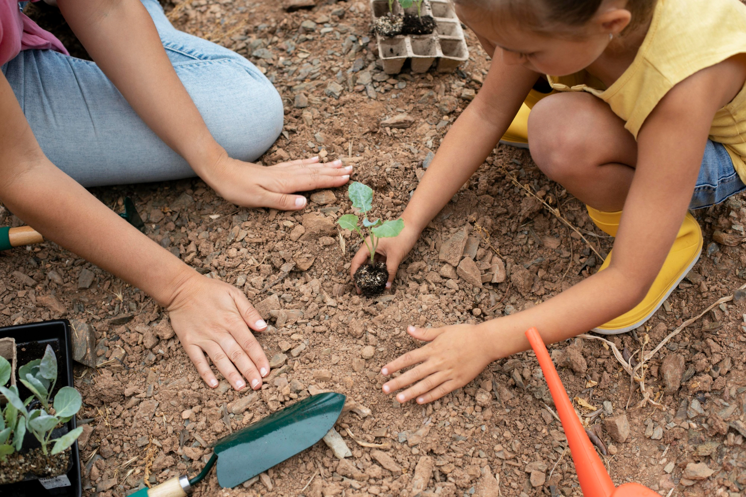 ¿Tu ABP realmente funciona? 3 claves prácticas para medir el impacto de tus proyectos escolares